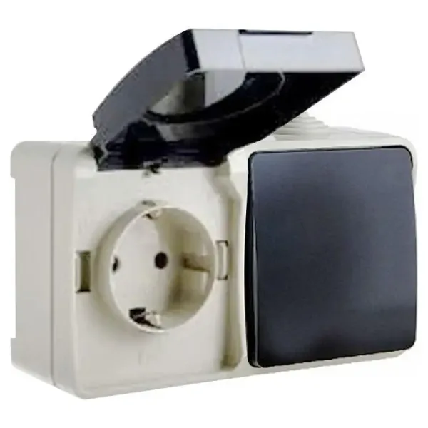 Вимикач одноклавішний та розетка з заземленням BC20-1PK1B, IP54